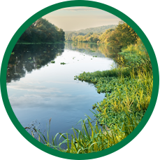 The Environmental Impact